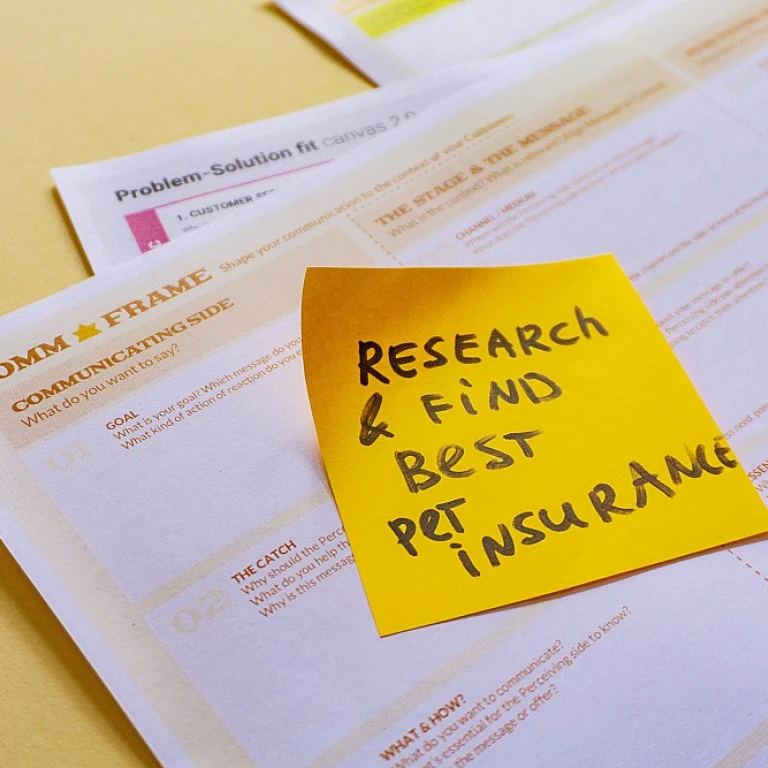 Comprendre les avis sur Franfinance : ce que vous devez savoir